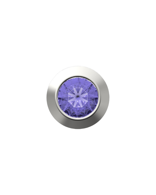 February Birthstone IT Charm